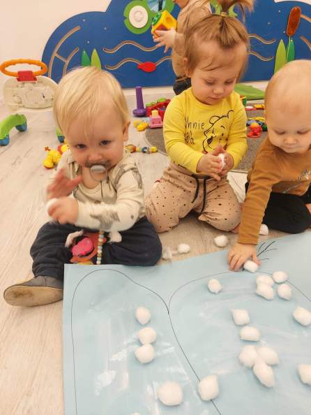 17016895_1258014730920142_2257357772678672640_o